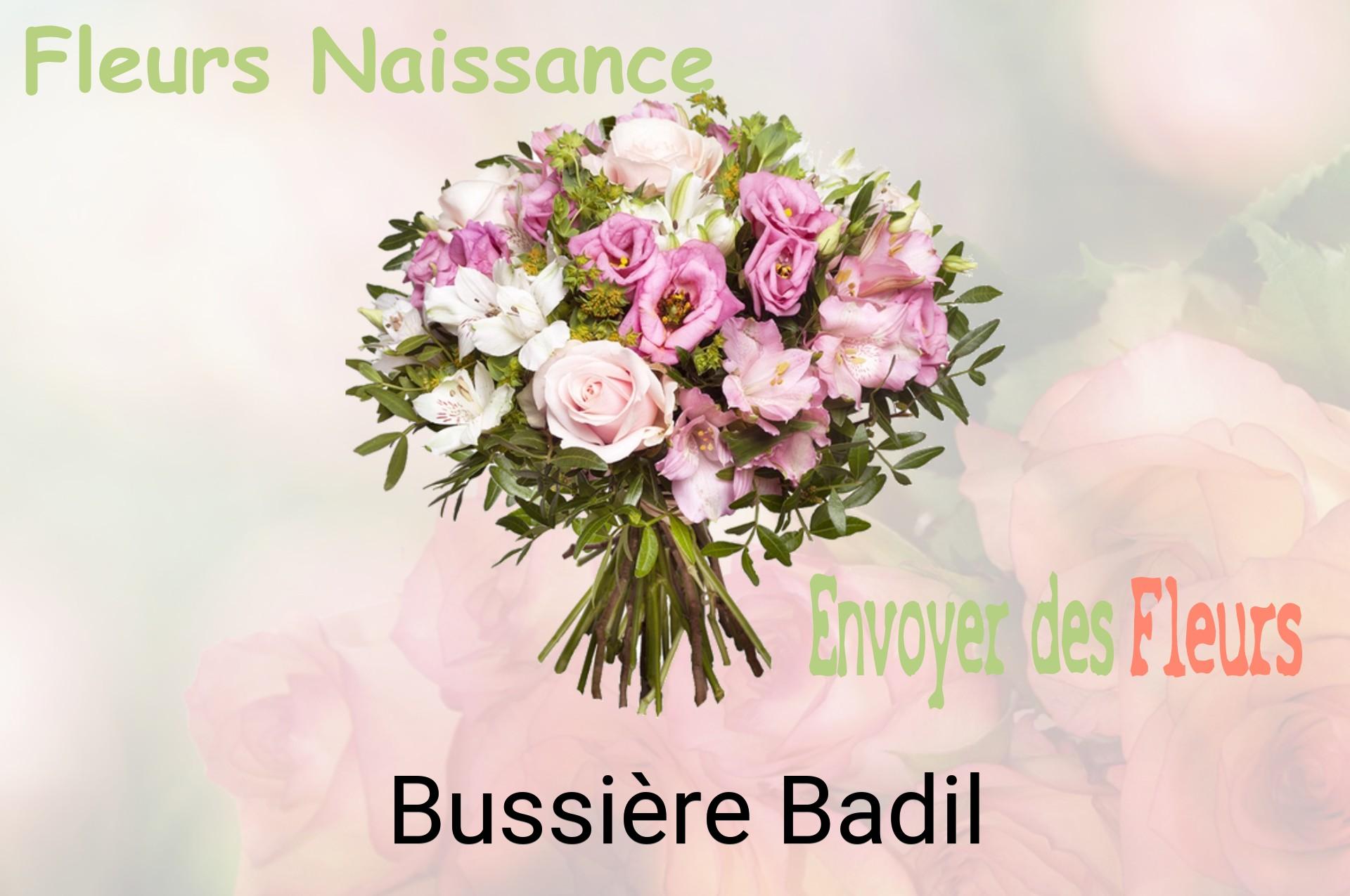 Bouquet de fleurs de naissance livré à Bussière-Badil